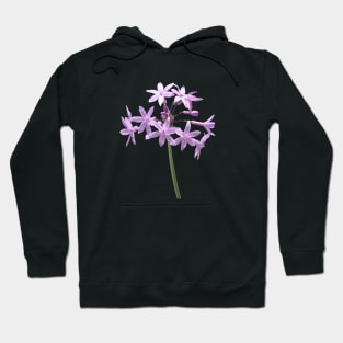 Society Garlic Close Up Cut Out Hoodie